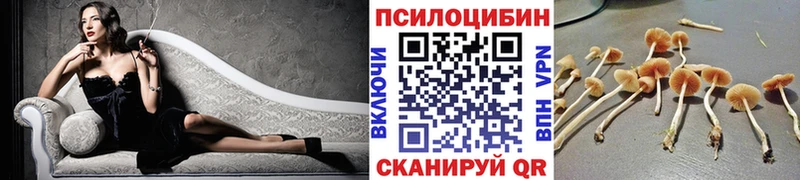 Галлюциногенные грибы Cubensis  Заволжье 